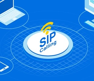 License nâng cấp mở rộng 90 cuộc gọi đồng thời và 750 tài khoản SIP | Hàng chính hãng