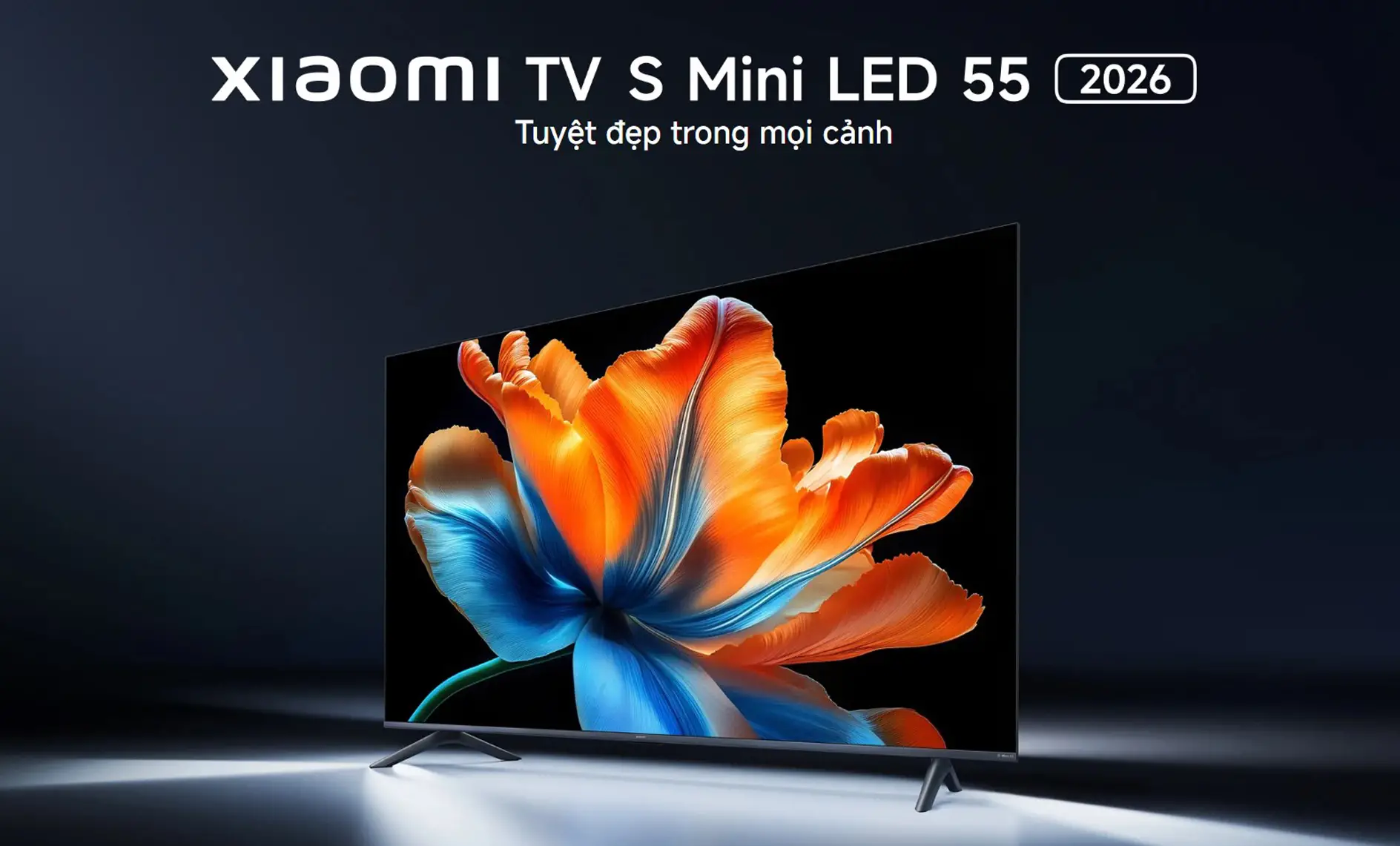 Google Tivi Xiaomi S Mini LED 55 inch 2026 (L55MC-SSEA) – Đỉnh Cao Công Nghệ Hiển Thị