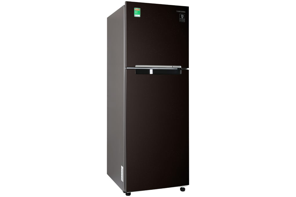 Tủ lạnh Samsung Inverter 256 lít (RT25M4032BY/SV) Mới 2020 | Hàng chính hãng