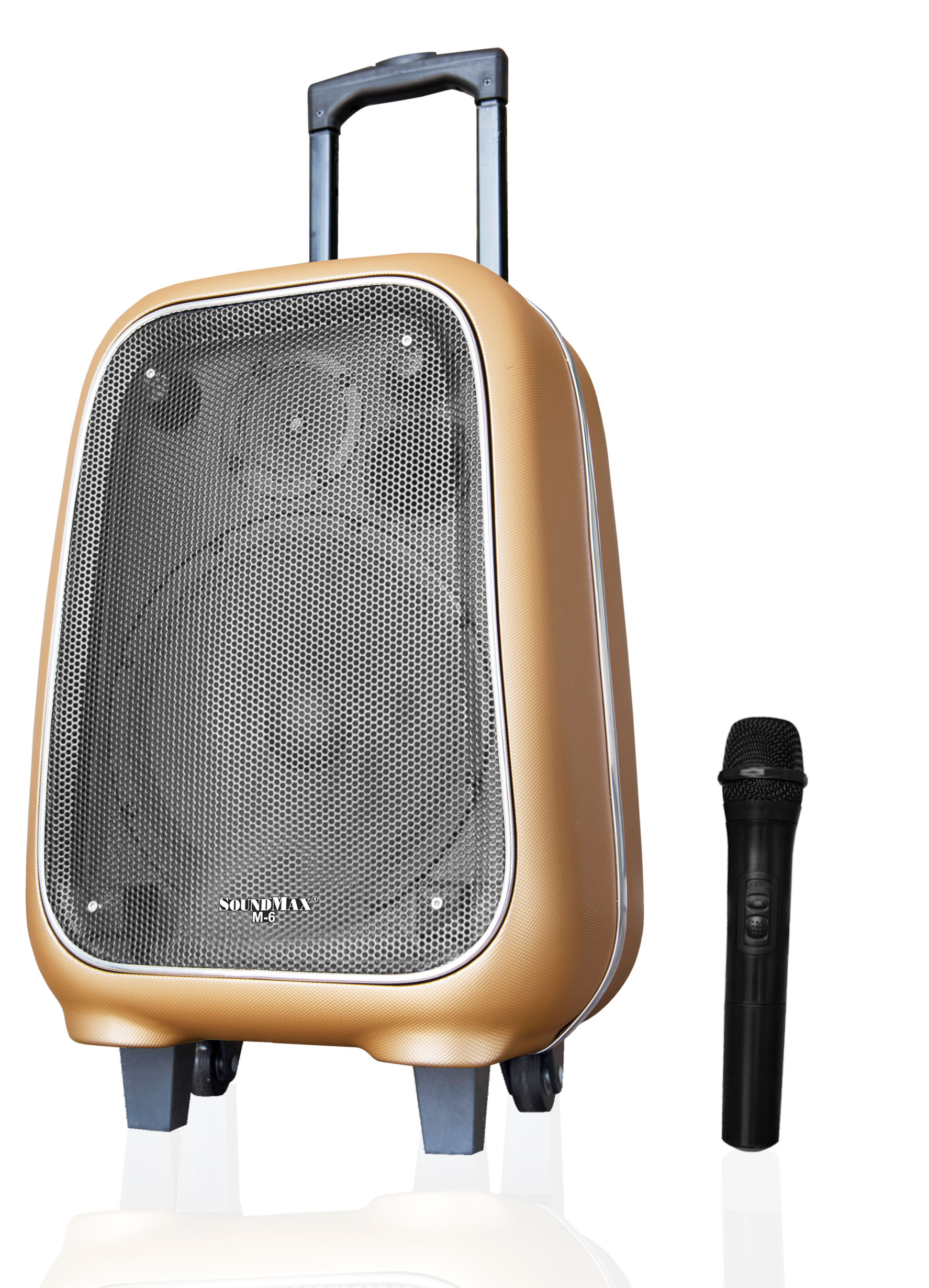Loa SoundMax trợ giảng M6