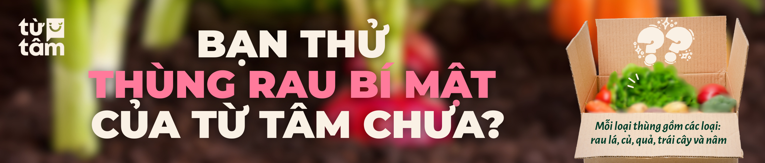 Ảnh banner