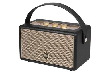 Loa Bluetooth ALPHA WORKS AW-W88