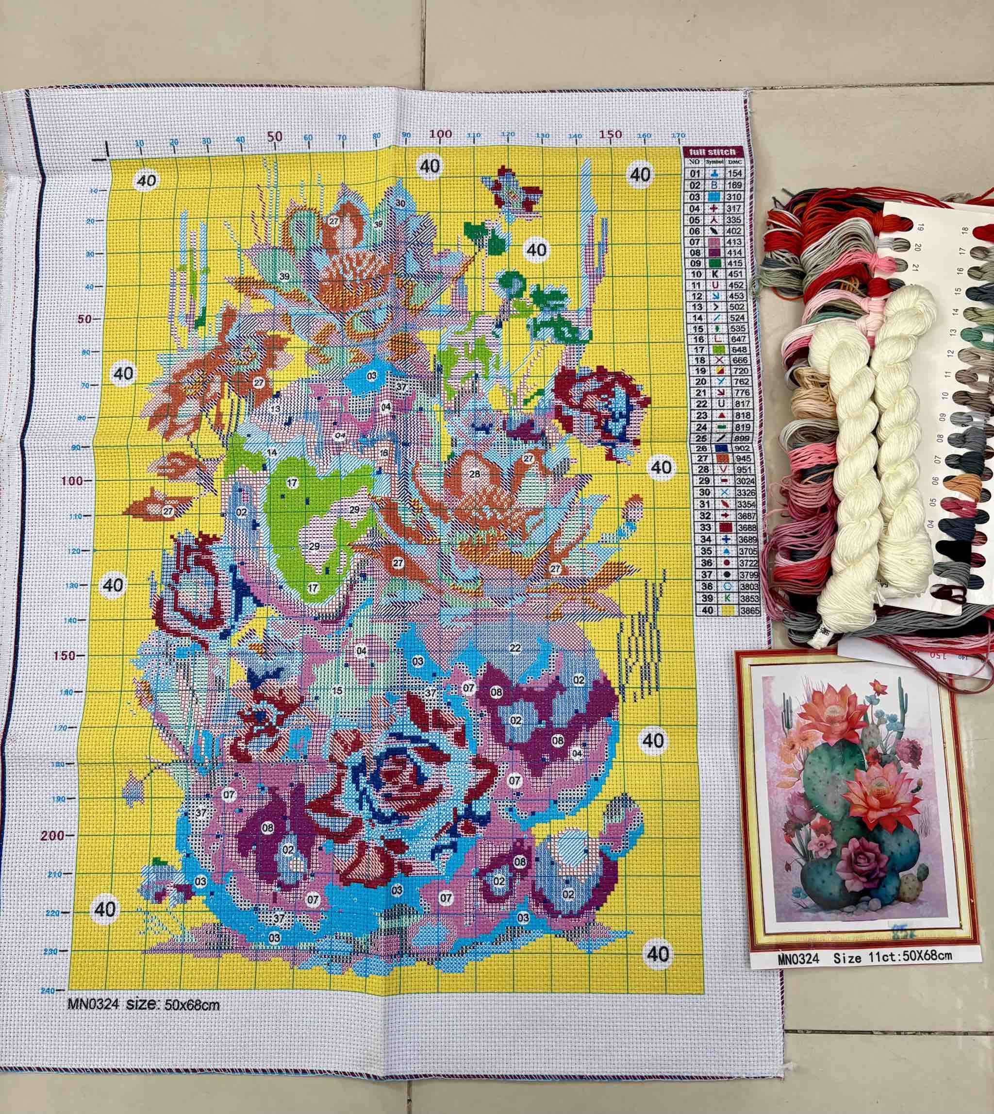 Tranh thêu kín Xương rồng MN0324, kích thước 50x68 cm