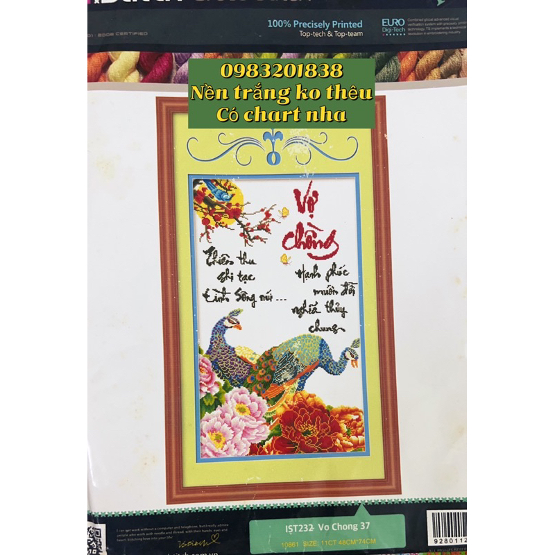 Tranh thêu chữ thập Vợ chồng, kích thước 48 x 74 cm, nền trắng không thêu