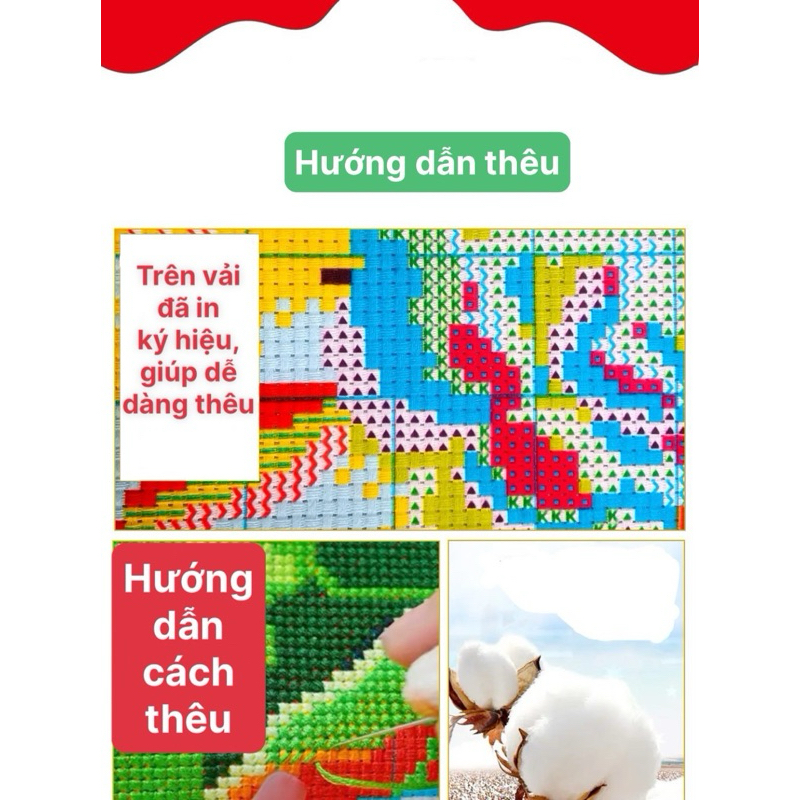 [Thêu kín] Tranh thêu chữ thập Hoa mẫu đơn 6507, kích thước 50 x 76 cm