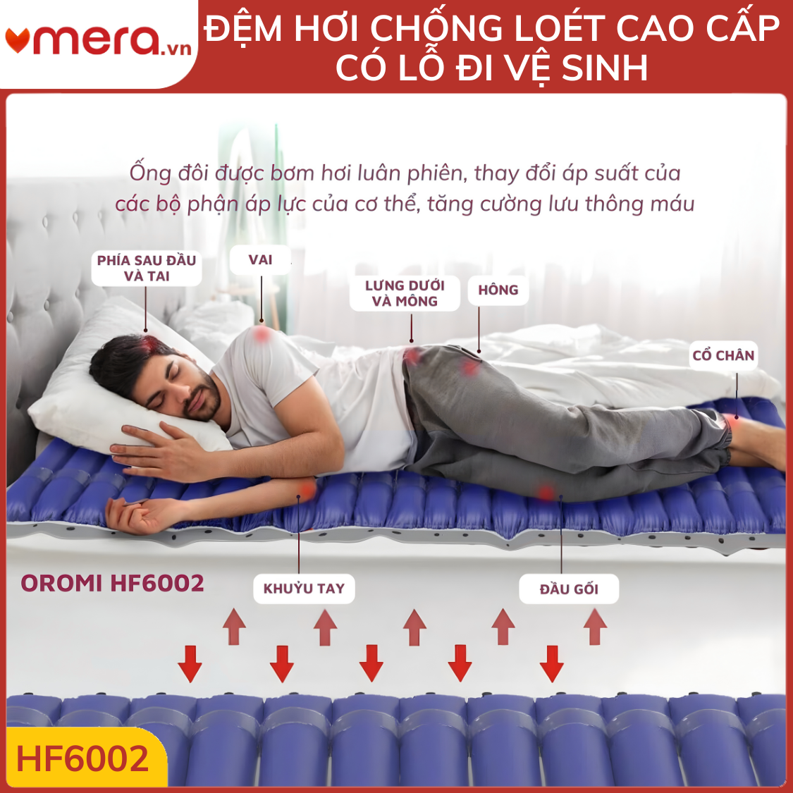 Đệm Hơi Chống Loét Có Lỗ Vệ Sinh OROMI HF6002 (24 Múi Ống 9cm, Tháo Rời Múi, Tải 130kg)