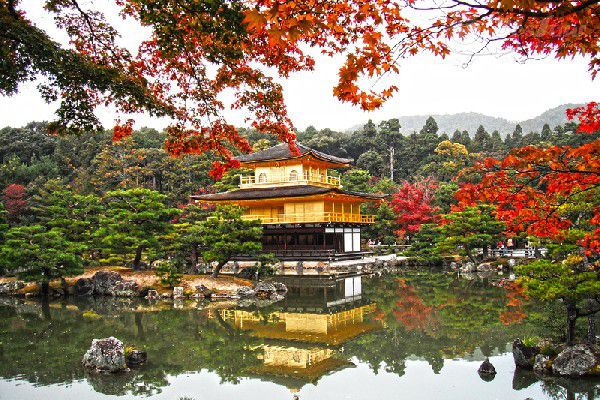 Ninh Bình - Tam Đảo