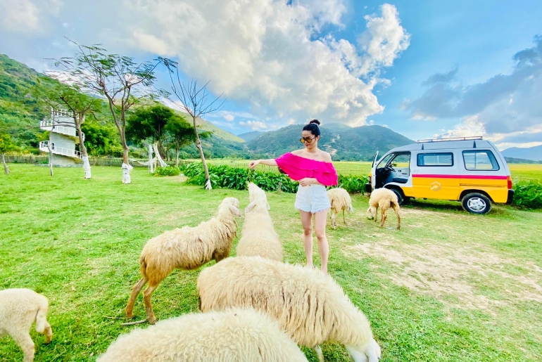 Ninh Bình - Hà Nội  - Nha Trang - Ninh Thuận - Hà Nội - Ninh Bình