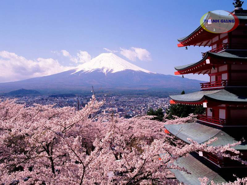 Hà Nội - Osaka - Kyoto - Nagoya - Phú Sĩ - Tokyo