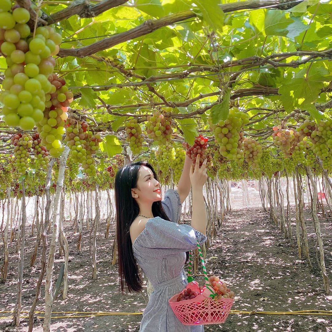 Ninh Bình - Hà Nội  - Nha Trang - Ninh Thuận - Hà Nội - Ninh Bình