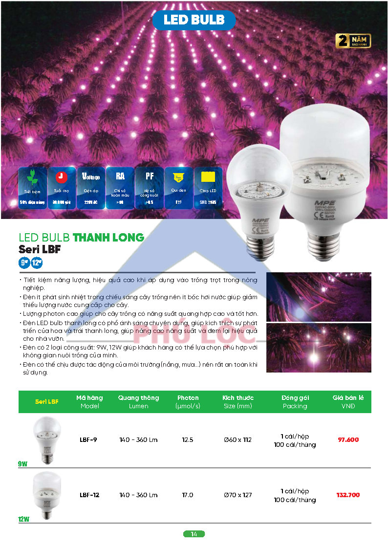MPE MỚI NHẤT 2026