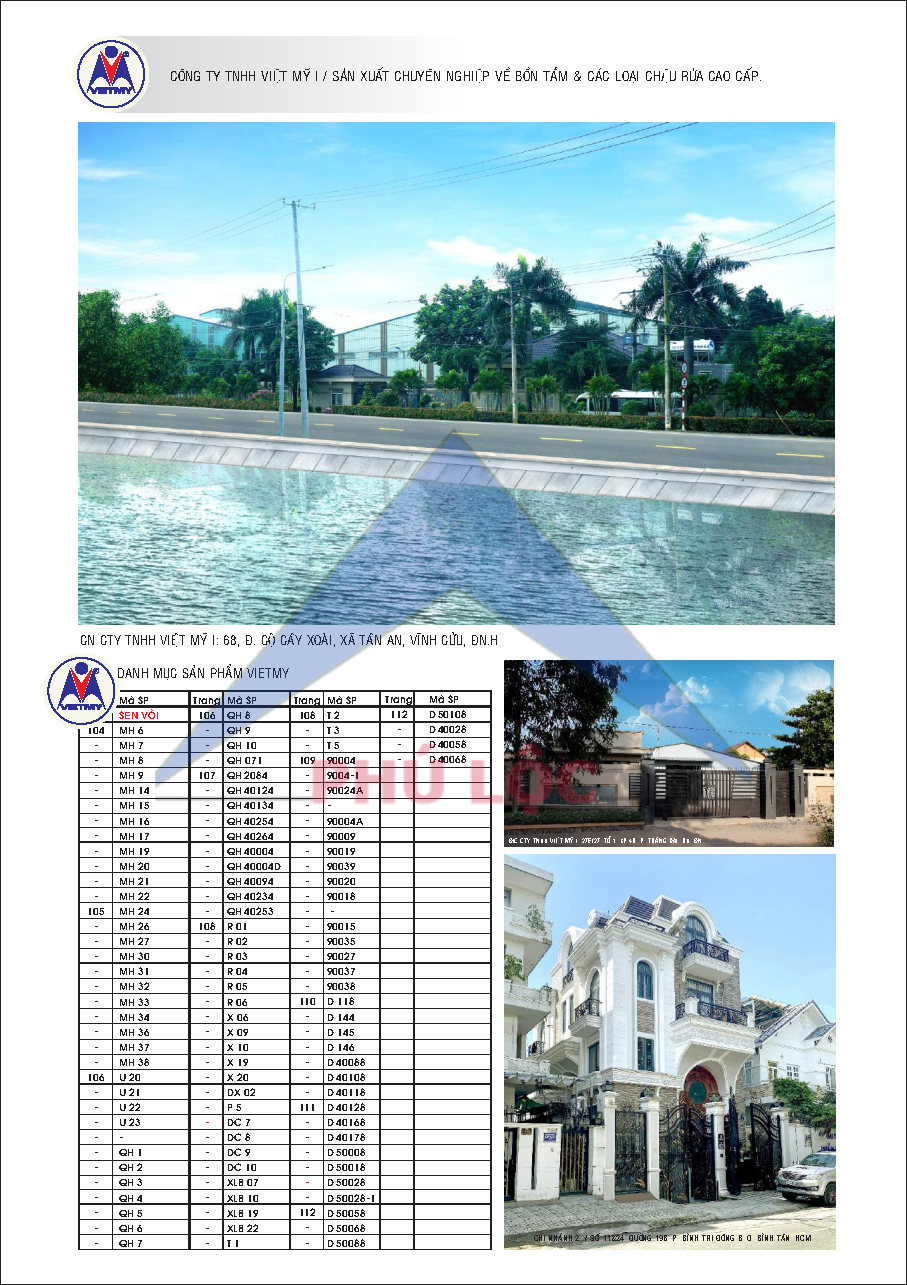 VIỆT MỸ