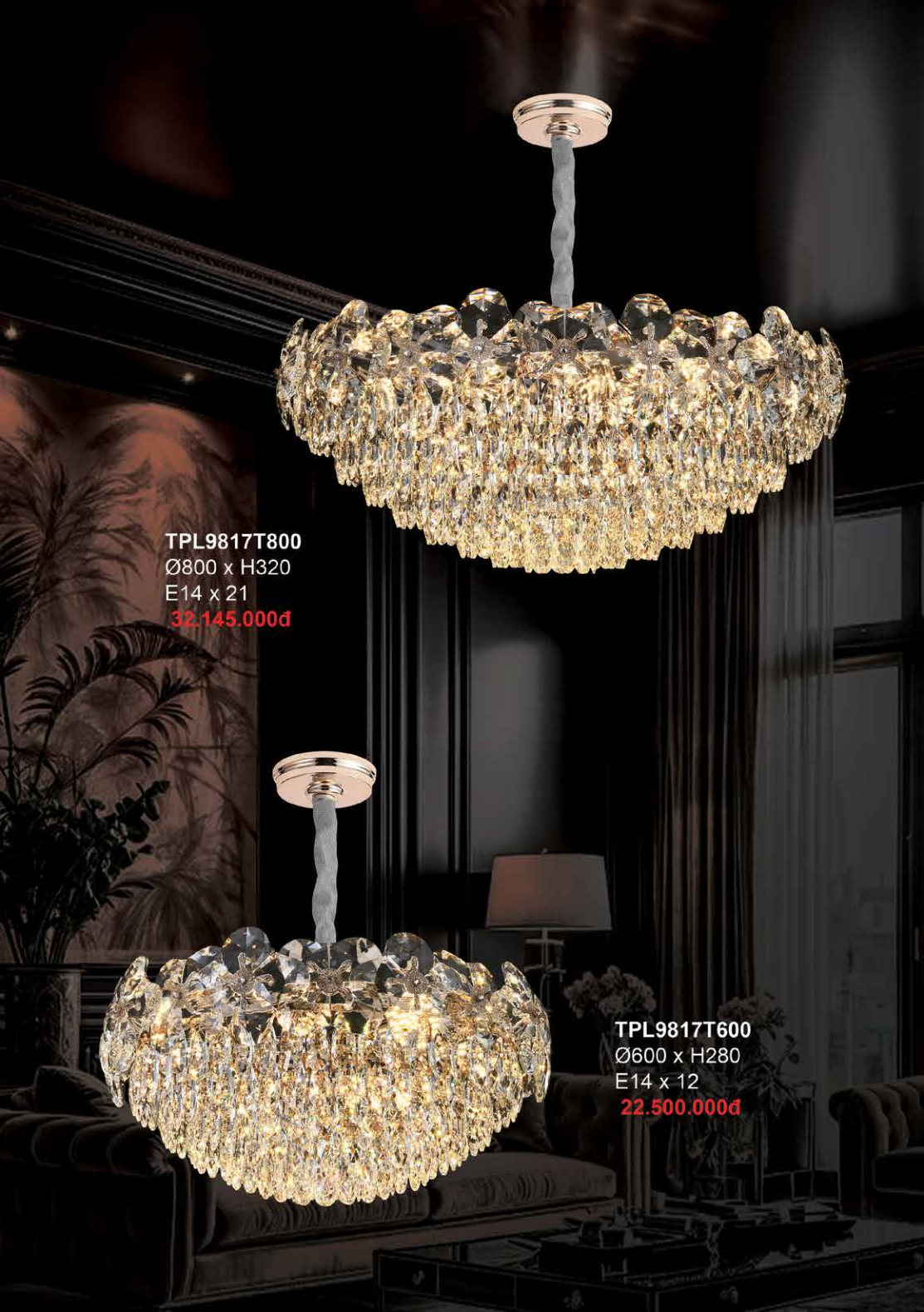 355 DECOR