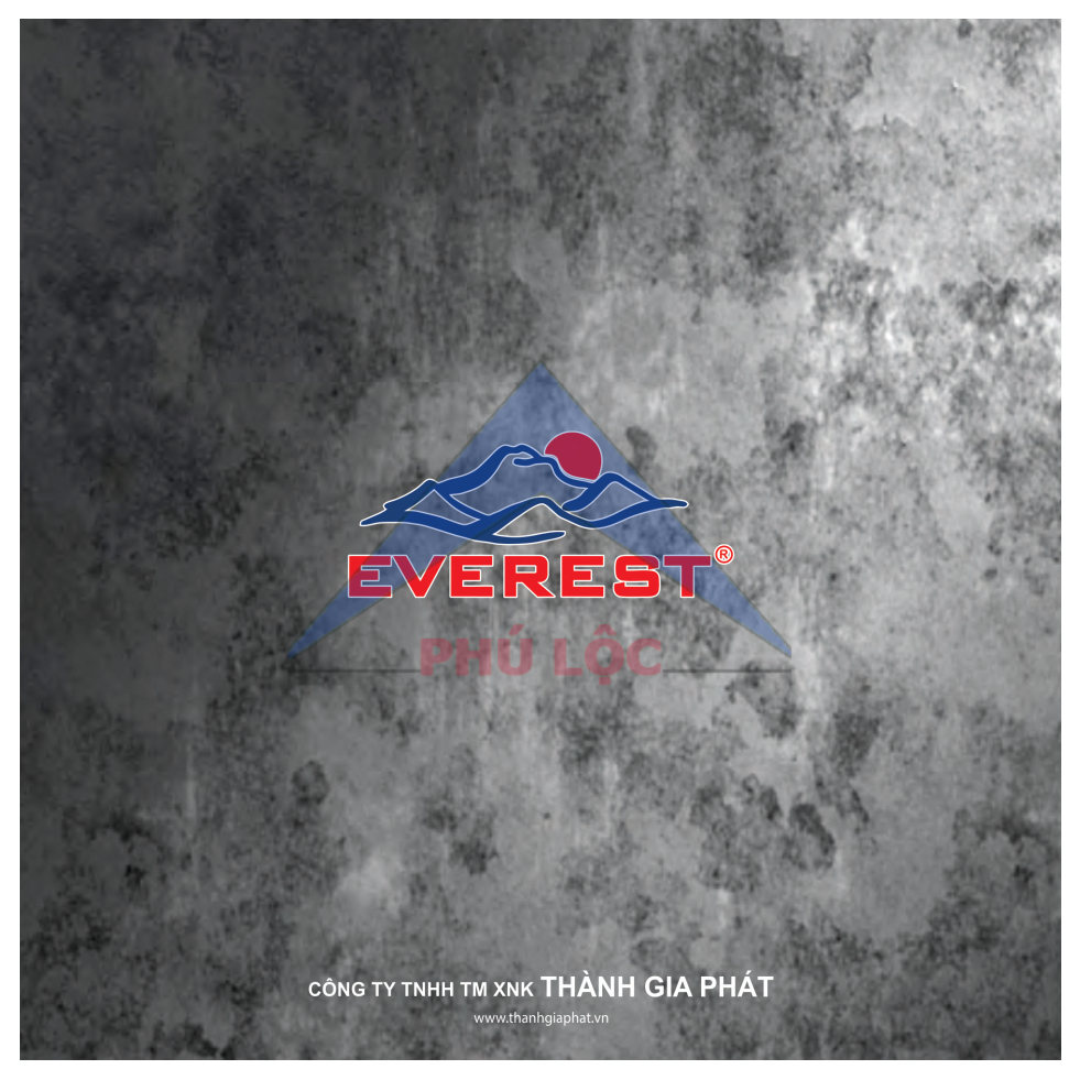 EVEREST HIỆN ĐẠI