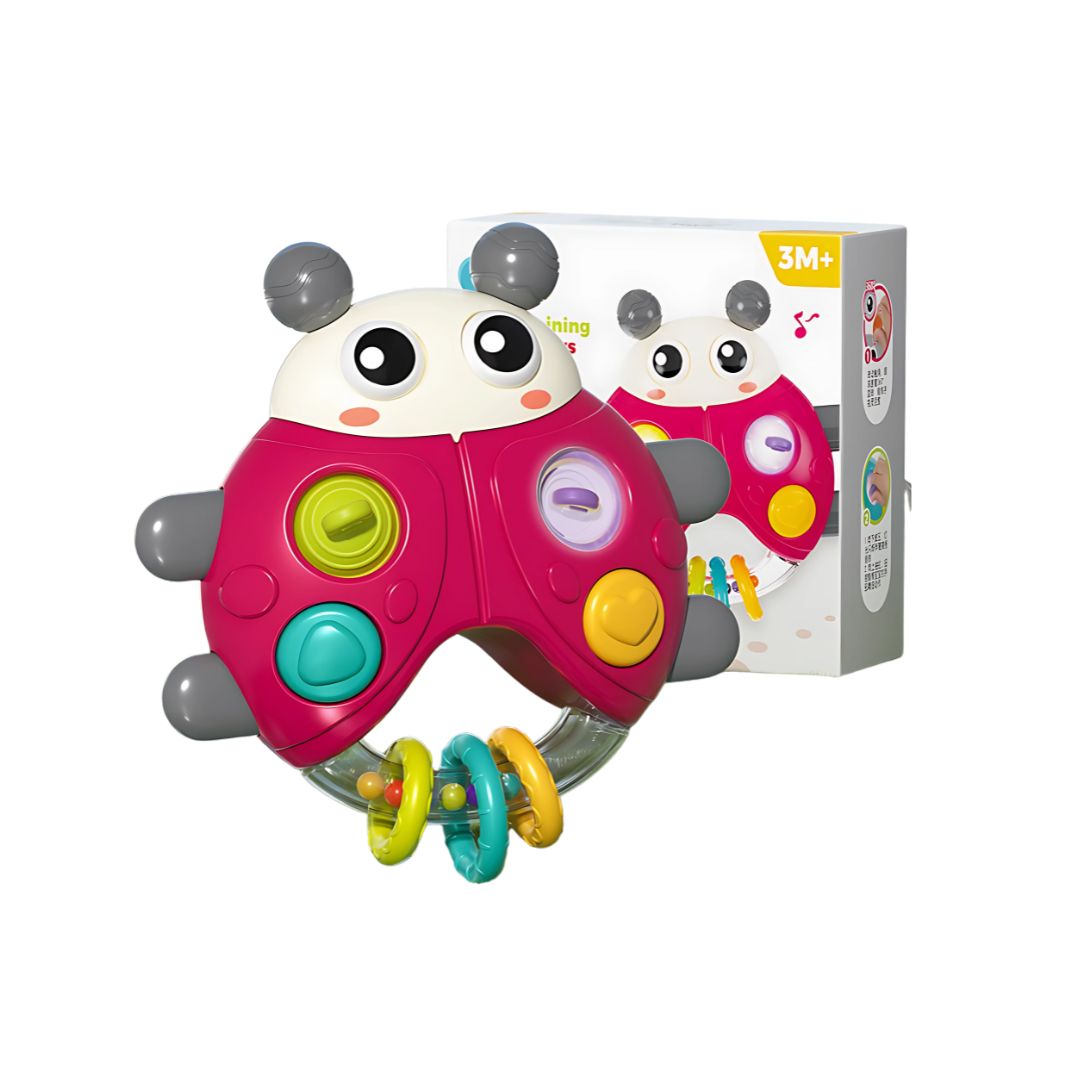 Lục Lạc Cầm Tay Phát Nhạc Cho Bé Sơ Sinh Goodway Rainbow Ball Pusher 3m+