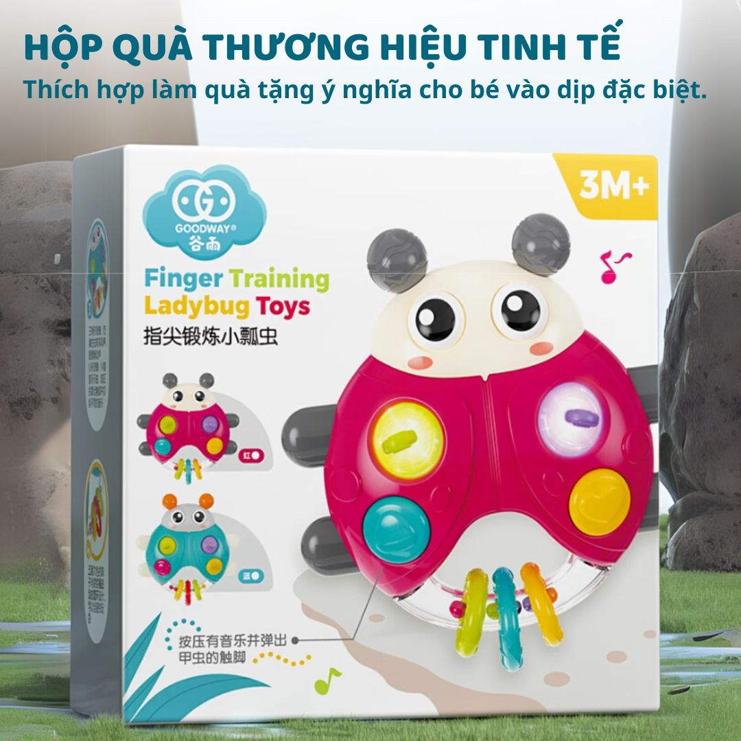 Lục Lạc Cầm Tay Phát Nhạc Cho Bé Sơ Sinh Goodway Rainbow Ball Pusher 3m+