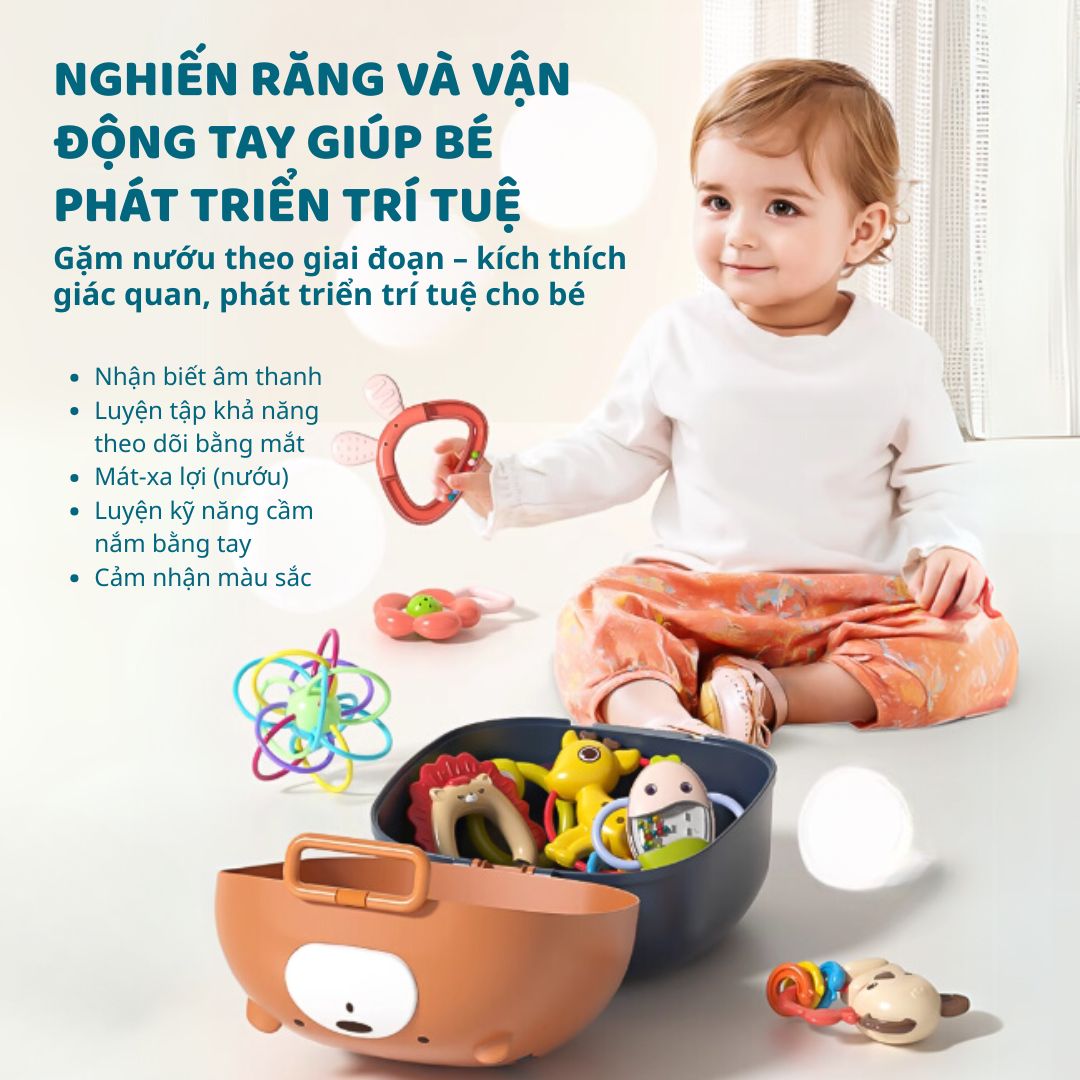 Đồ Chơi Lục Lạc 10 Món Cho Bé Goodway Baby Rattle Set 2m+