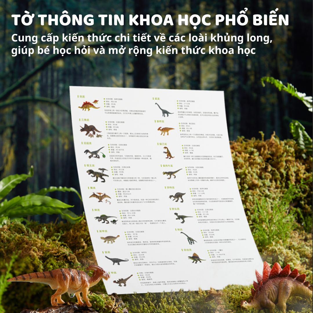 Mô Hình Khủng Long Cao Cấp 24 Con Mideer Dinosaur Toys Set 3+