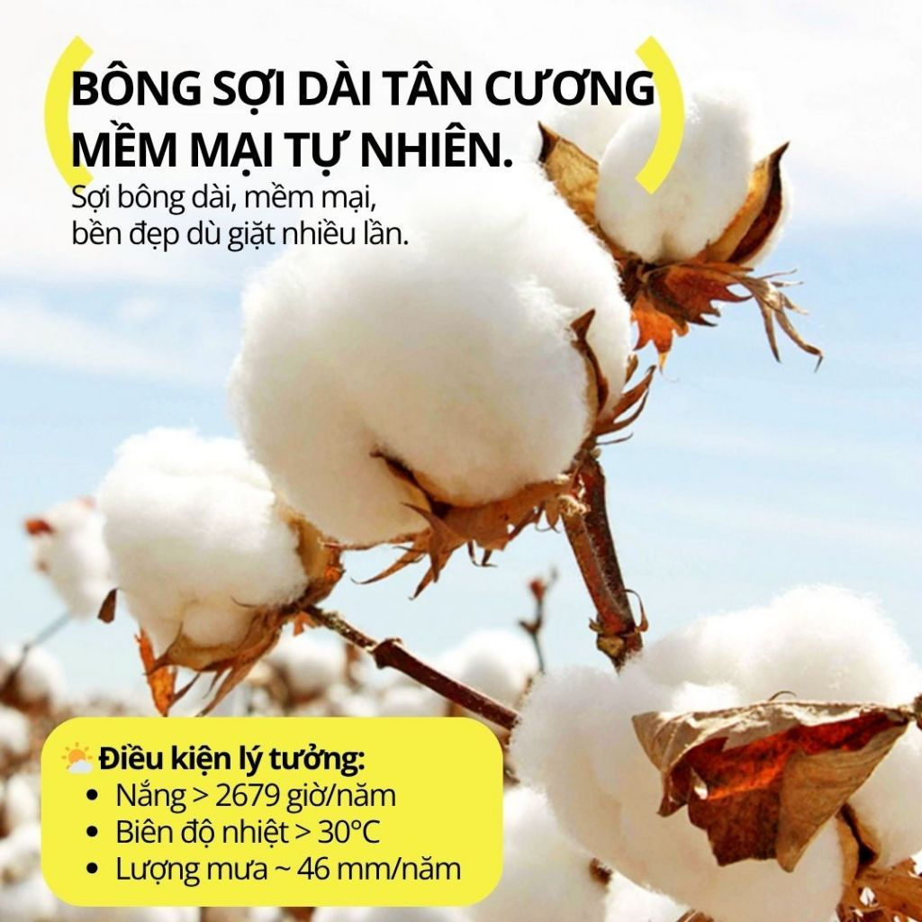 Khăn Tắm Kháng Khuẩn Hugz Bath Towel Unisex 70*140cm