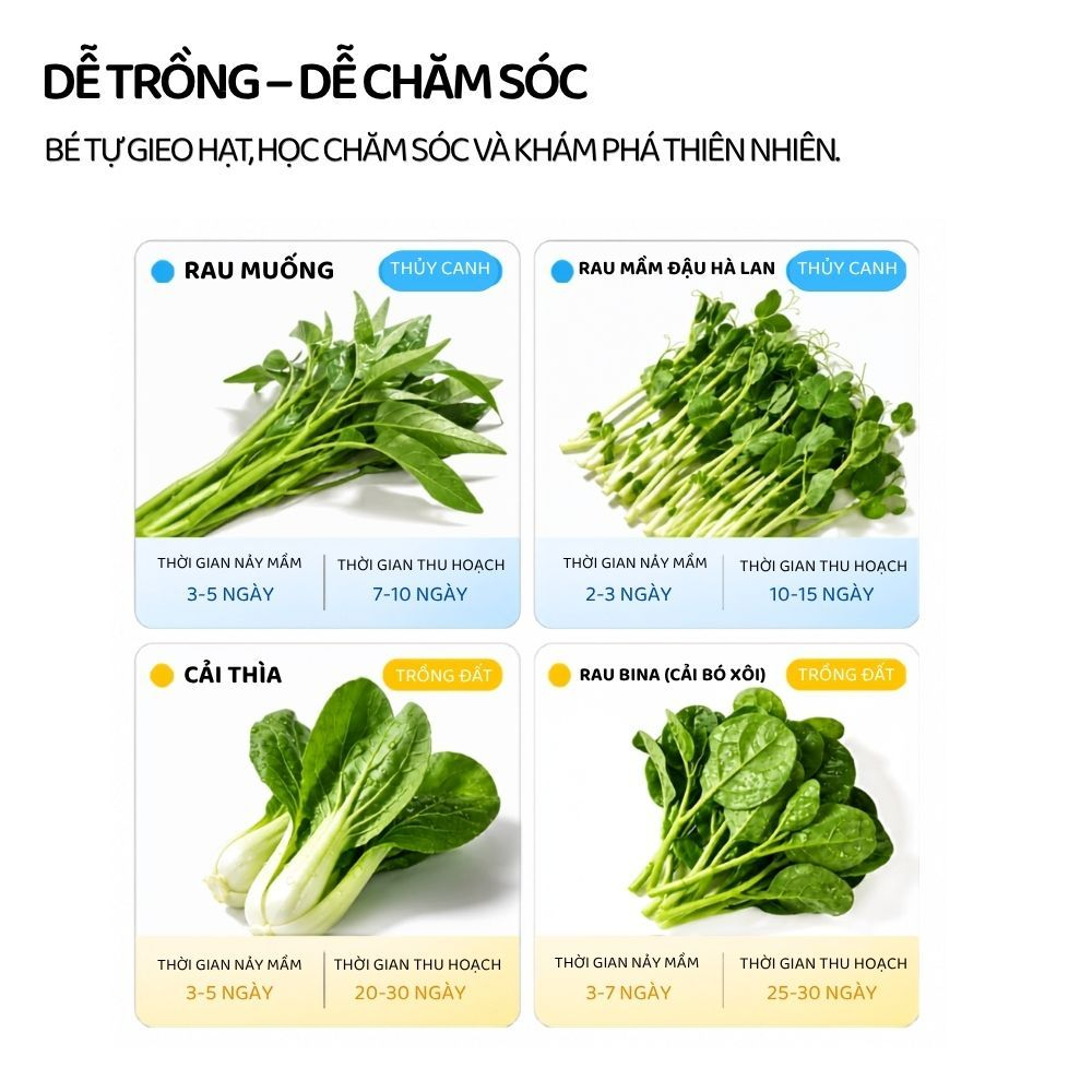 Bộ Trồng Cây Thủy Canh Cho Bé Mideer EasyGrow Garden - Hydro Set 6+