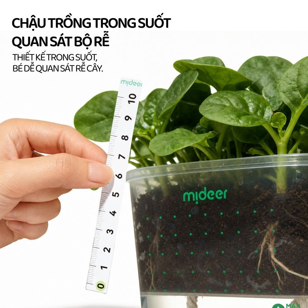 Bộ Trồng Cây Thủy Canh Cho Bé Mideer EasyGrow Garden - Hydro Set 6+