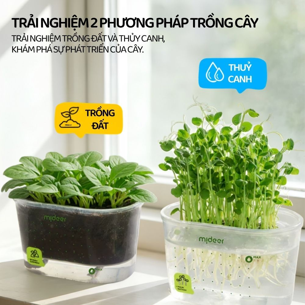 Bộ Trồng Cây Thủy Canh Cho Bé Mideer EasyGrow Garden - Hydro Set 6+