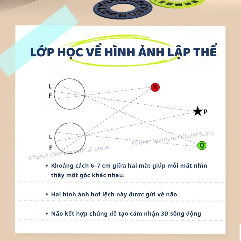 Kính Quang Học Quan Sát Hình Ảnh Mideer 3D Filmscope 3+