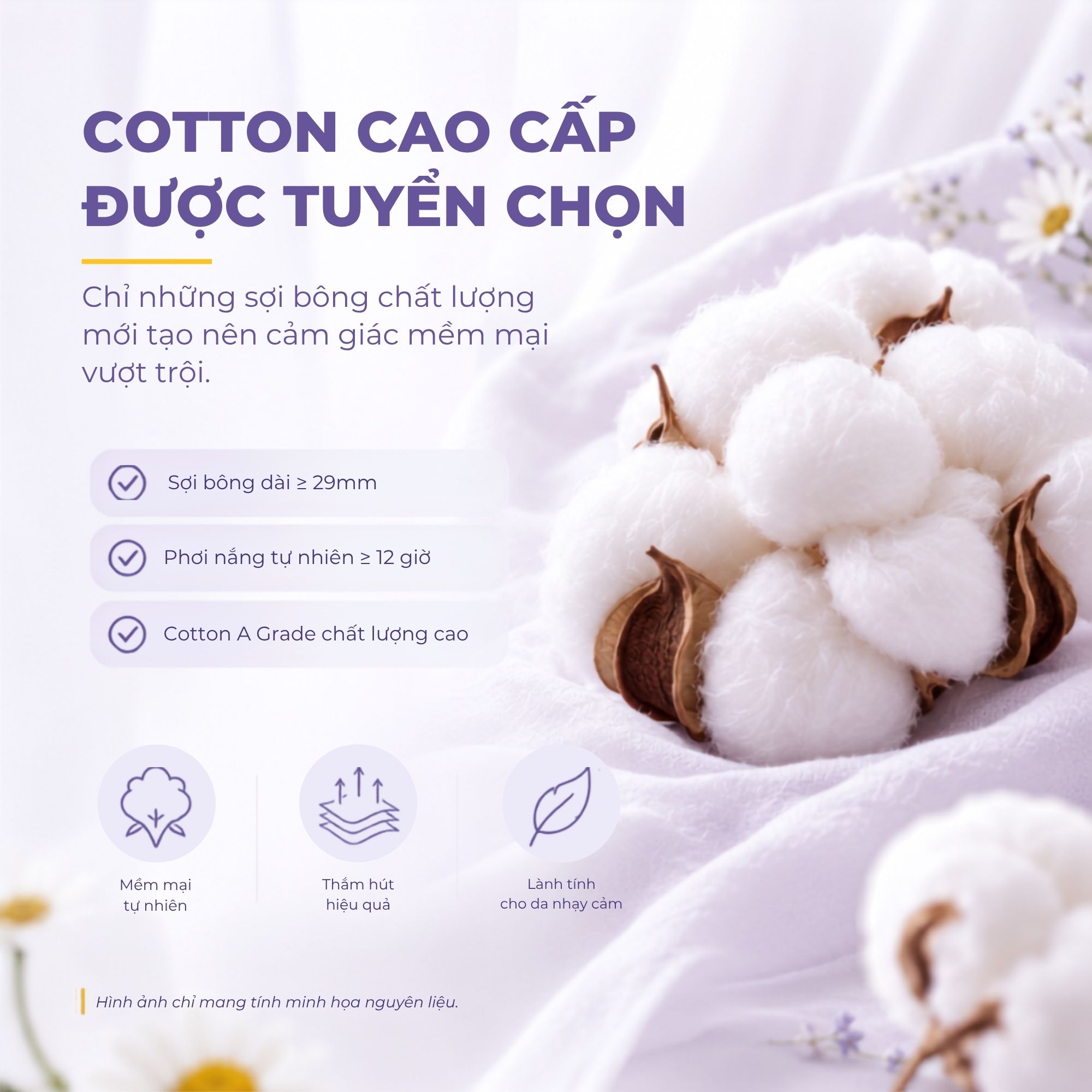 Khăn Lau Mặt Cotton Dùng 1 Lần 60 Tờ Daizy Daily Facial Towel- COMBO 3 Gói