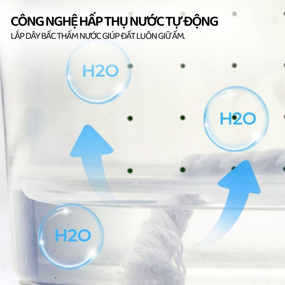Bộ Trồng Cây Thủy Canh Cho Bé Mideer EasyGrow Garden - Hydro Set 6+