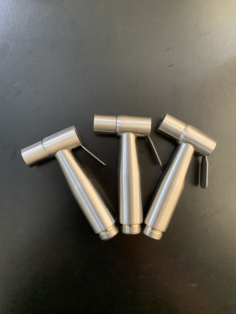 Đầu sịt vệ sịnh inox cao cấp GIORMANI DVS06