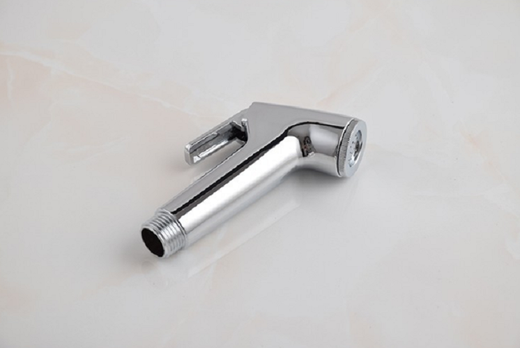 Đầu sịt vệ sịnh giá rẻ GIORMANI DVS01