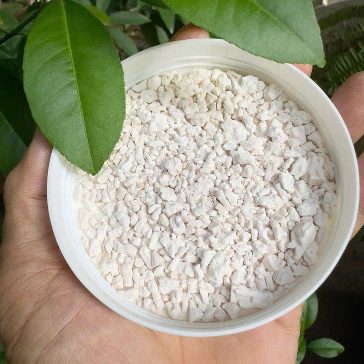 Cách Pha Tinh Bột Củ Sen Đúng Cách – 4 Công Thức Thơm Ngon, Dễ Làm