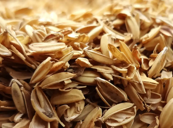 BẢO VỆ MÔI TRƯỜNG