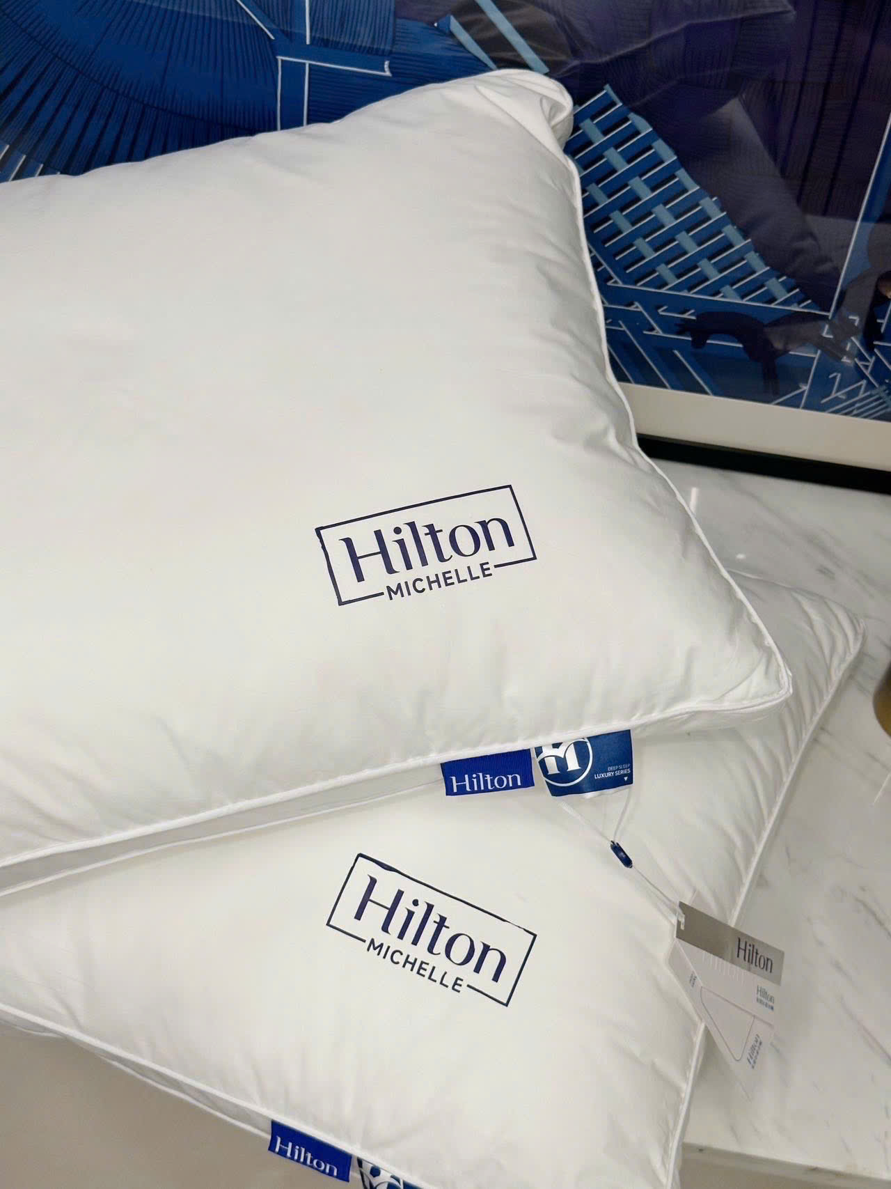 Ruột gối Khách sạn