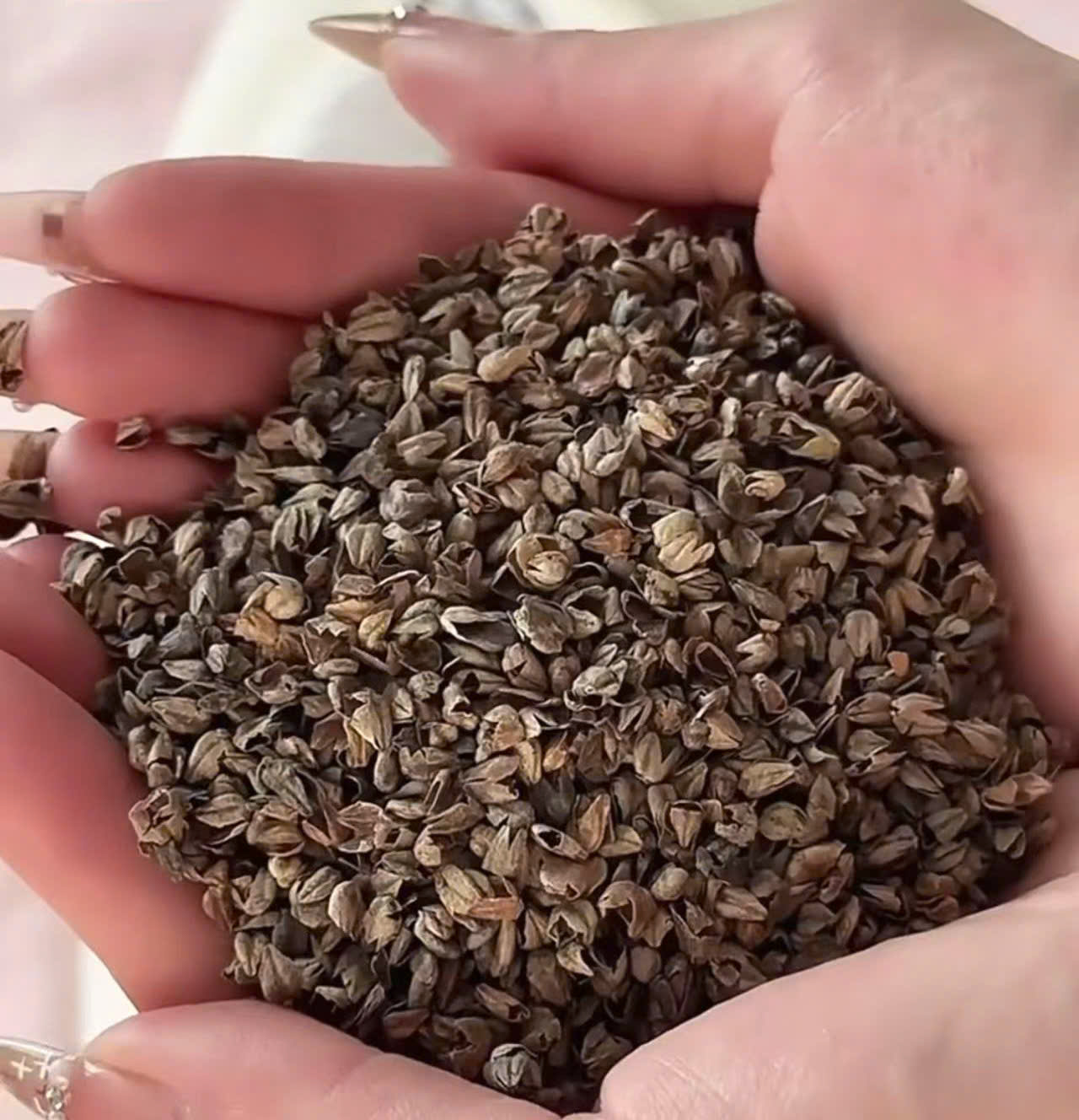 GỐI KÊ CỔ PHIÊN BẢN MỚI – THÊU HOA THANH LỊCH 🌸