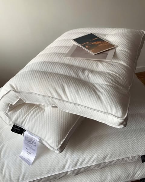 RUỘT GỐI LÔNG VŨ THẤP LOẠI  ĐẶC BIỆT