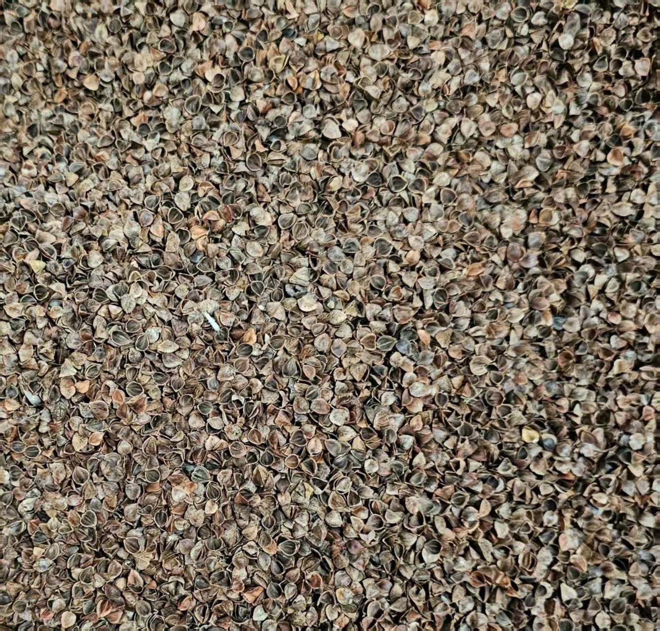 GỐI KÊ CỔ PHIÊN BẢN MỚI – THÊU HOA THANH LỊCH 🌸