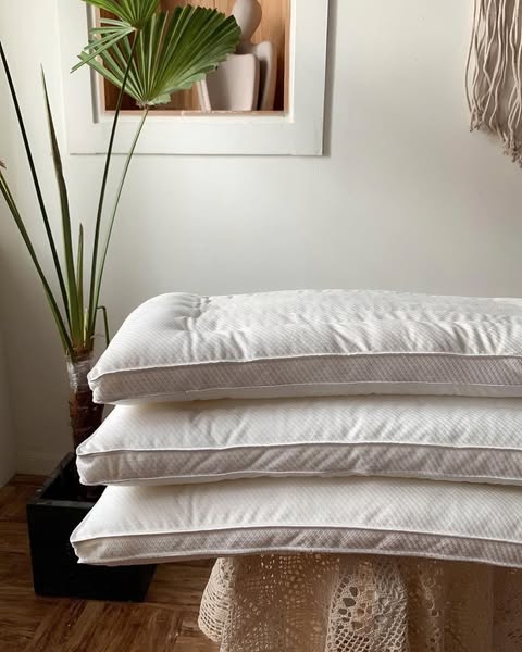 RUỘT GỐI LÔNG VŨ THẤP LOẠI  ĐẶC BIỆT