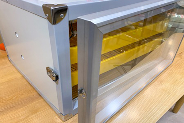 5 sai lầm thường gặp khi ấp trứng gà bằng máy