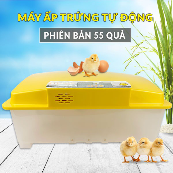 Máy Ấp Trứng Gà Ánh Dương A100 – Giải Pháp Ấp Nở Thông Minh
