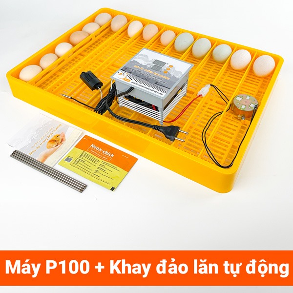 Máy ấp trứng gà Ánh Dương P100 chính hãng mới nhất 2025