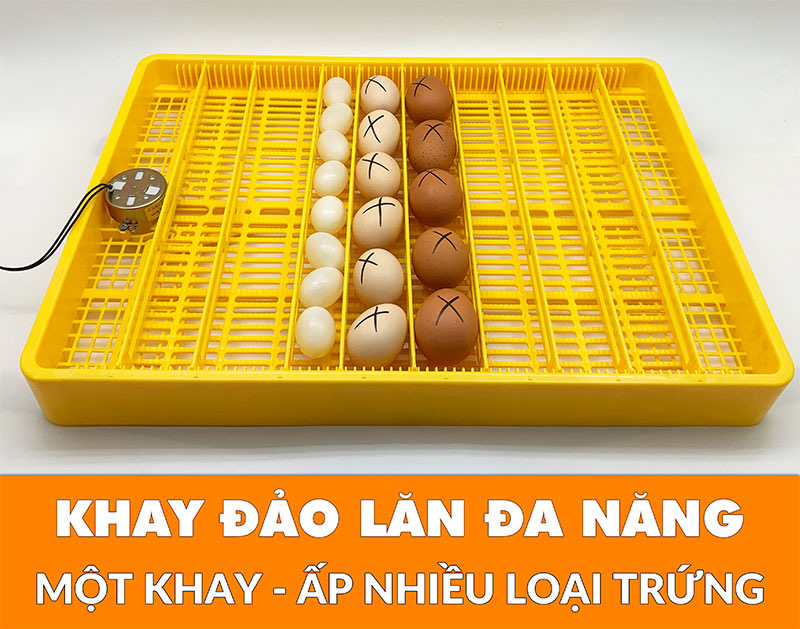 Máy ấp trứng Ánh Dương E200