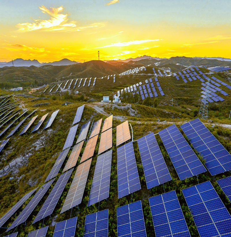 Cam kết chất lượng