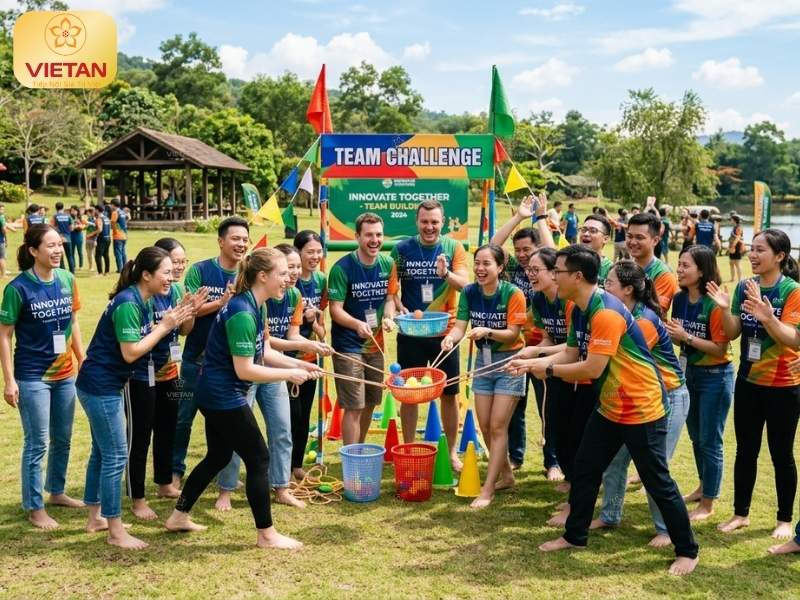 Áo thun đồng phục Team building