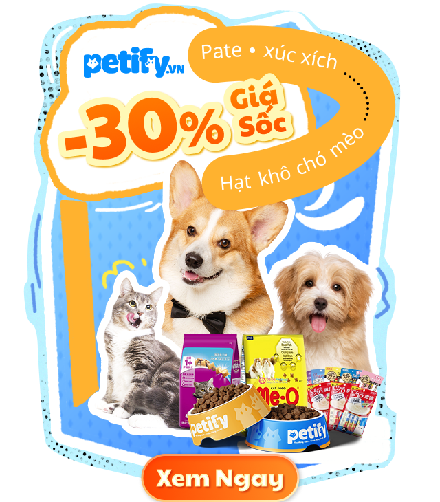 Click ngay để nhận ưu đãi hot!!