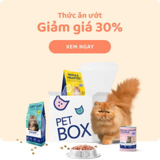 giảm giá 30%