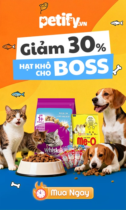 Dụng cụ làm bánh