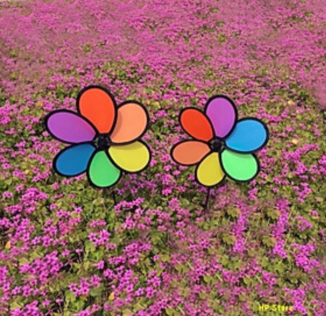 Chong chóng cầu vòng 26cm 6 cánh - (1T*300C)