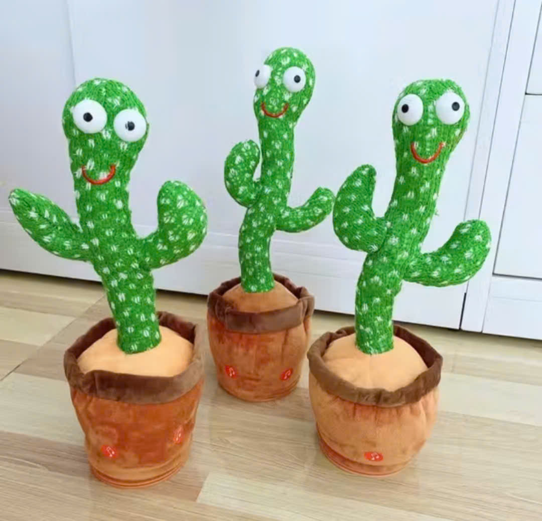 Cây xương rồng (hát + múa) (1T*100C)