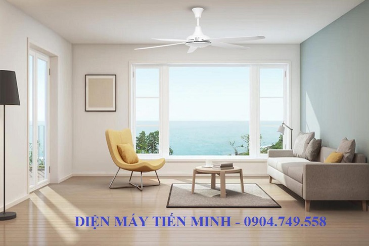 Các mẫu quạt hot cho mùa hè